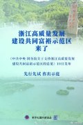 中央放大招:共同富裕