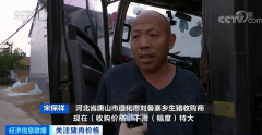 集中出栏!猪肉价格一