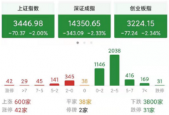 A股午后大逃杀,“基